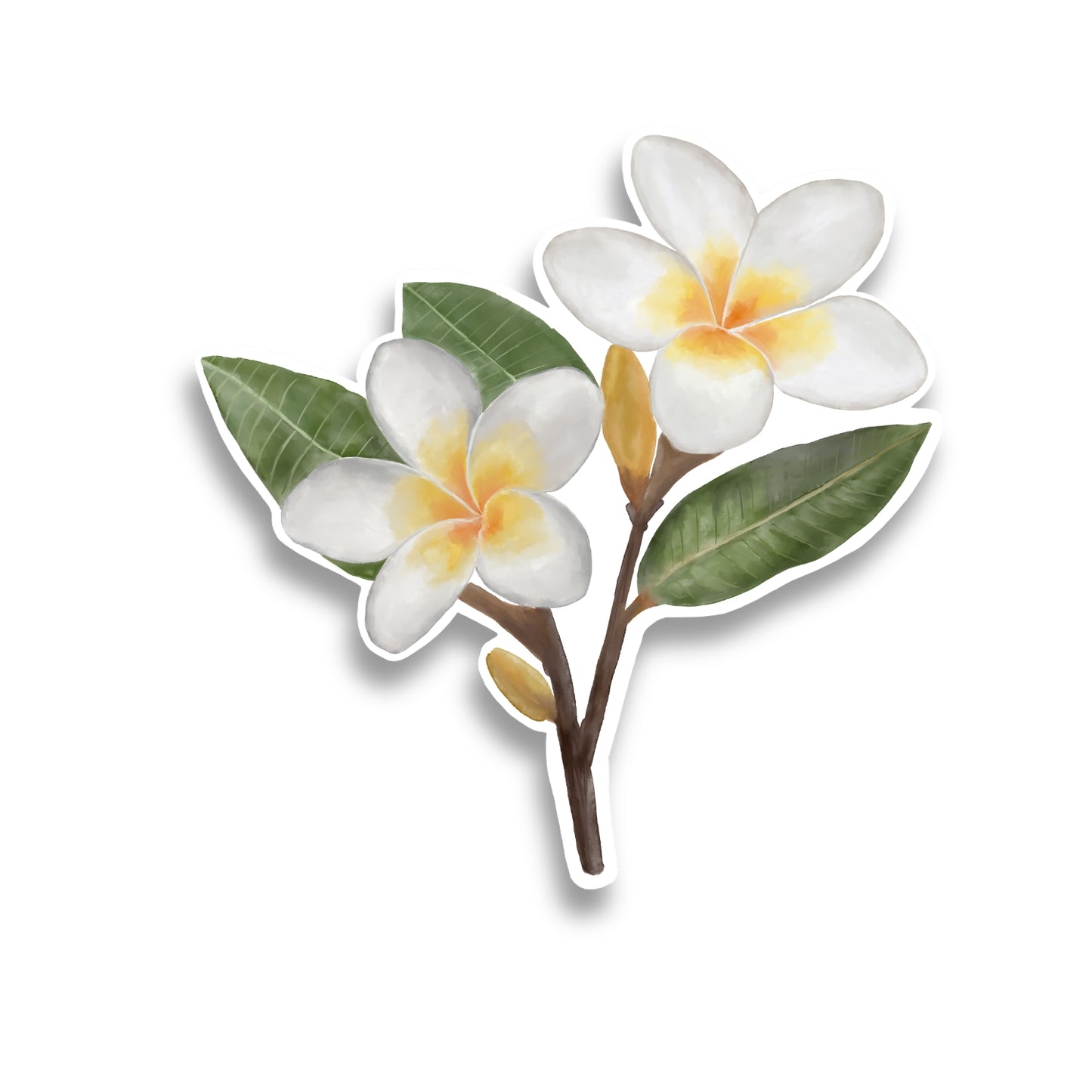 White Plumeria Watercolor Sticker