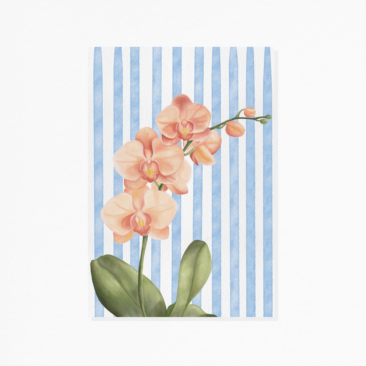 Orchid & Blue Stripes | Art Print