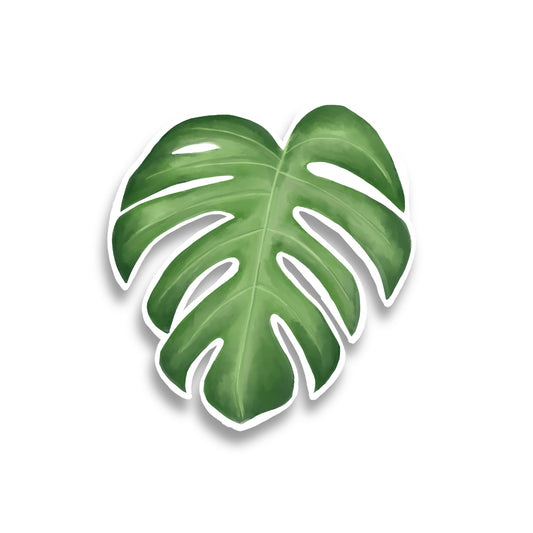 Monstera Leaf Watercolor Sticker