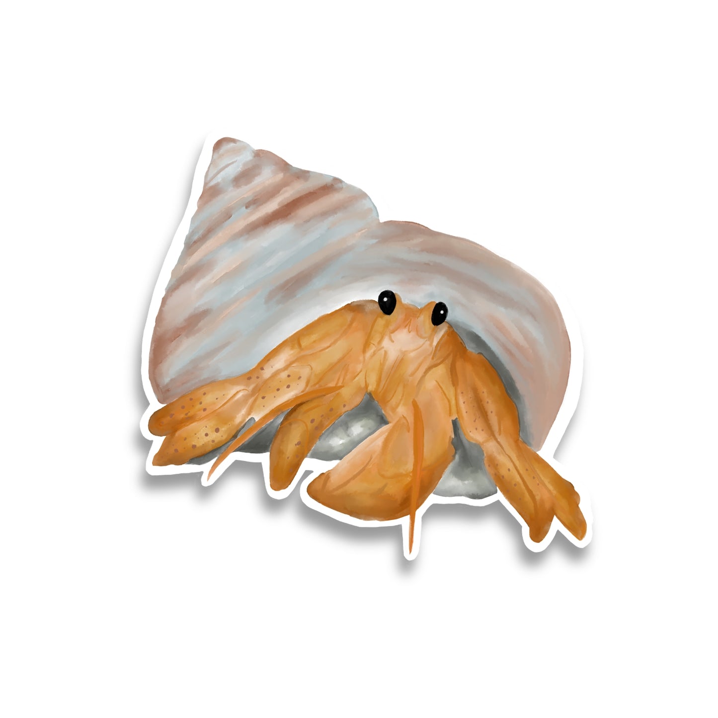 Ernie The Hermit Crab Watercolor Sticker