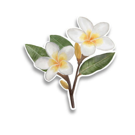 White Plumeria Watercolor Sticker