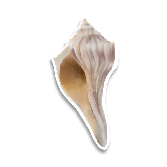 Lightning Whelk Shell Watercolor Sticker
