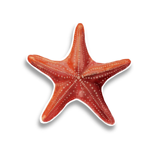 Starfish Watercolor Sticker